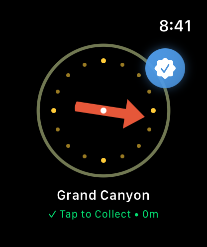 Parkchive Apple Watch interface